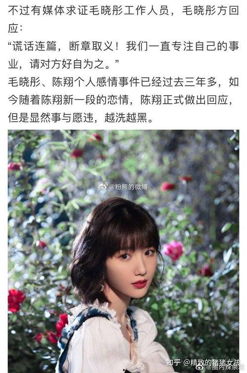 娱乐圈可以吃大瓜,揭秘明星幕后真相