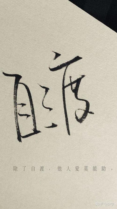 自渡的照片,照片中的心灵旅程